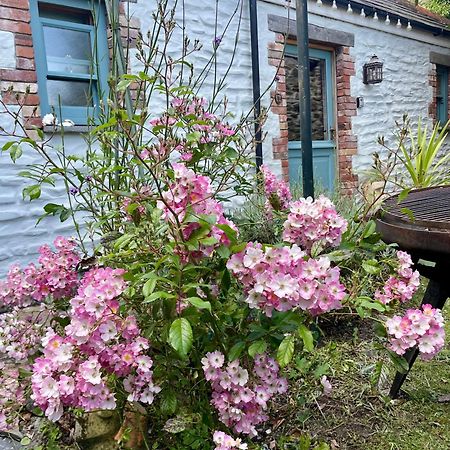Neptunes Rest St Austell Ngoại thất bức ảnh